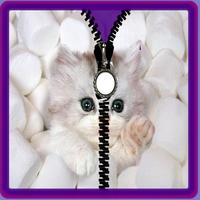 Cute kitty unlock zipper poster