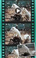 SnowCam Video 截圖 3