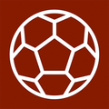 Best Soccer Goals