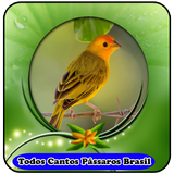 Todos Cantos Pássaros Brasil|mp3 100% Offline icône