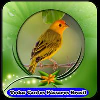 Todos Cantos Pássaros Brasil|mp3 100% Offline capture d'écran 2