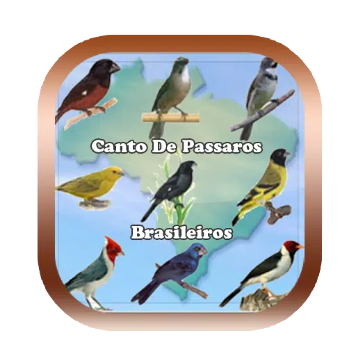 Papa capim - Casa dos Pássaros  Papa capim, Pássaros, Passaros brasileiros