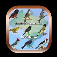 Todos Cantos do Passaros|Coleiros do Brasil Ofline capture d'écran 2