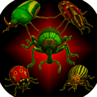 Prawdziwe owady Beetle Smasher ikona