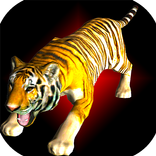 Forest Animals: Wild Cat Tiger