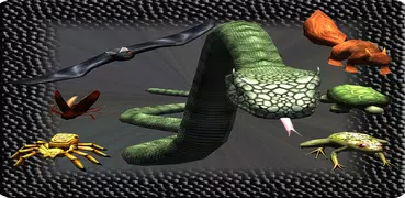 Serpente real: Caça Natural