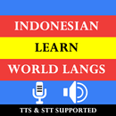 Indonesia Learn World Language APK