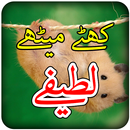 Urdu Latifay APK