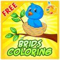 Birds Coloring