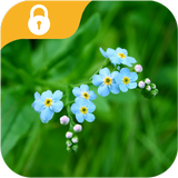 آیکون‌ Applock Theme Nature