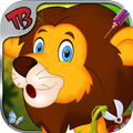 jungle safari