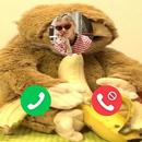 BananaCat aplikacja