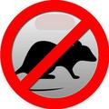 Mouse repellent sound