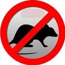 Mouse repellent sound APK