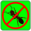 Anti dengue punjab