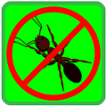 Anti dengue punjab