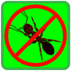 Anti dengue punjab icône