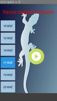 Electric repellent for lizards Poster