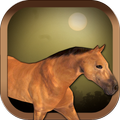 Horse Night Rush