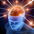 Free Mind Game