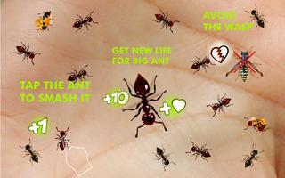 Ant Killer Affiche