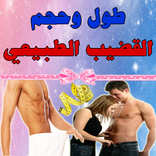 طول وحجم القضيب الطبيعي