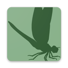 Insect Identifier biểu tượng