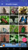 Insect Identifier ảnh chụp màn hình 2