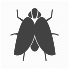 Icona Insectoland