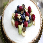 Yogurt Cardamom Tart Recipe ไอคอน