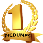 #1 Picdump icône