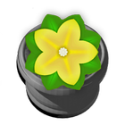 Daisy Garden Lite icono