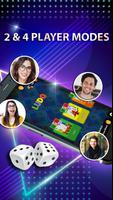 Ludo Poster