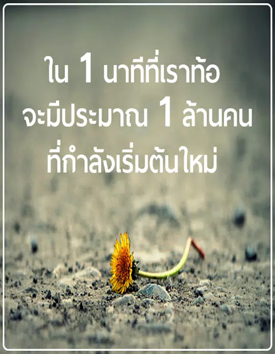 คำคมโดนๆ คำคมโดนใจ Apk For Android Download