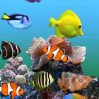 Free Aquarium Live Wallpapers 圖標