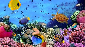 Free Aquarium Live Wallpapers capture d'écran 2