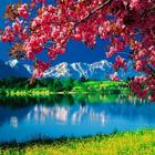 Nature Wallpapers-icoon