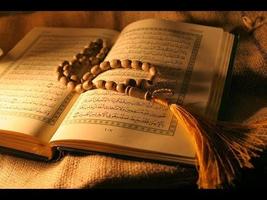 برنامه‌نما Quran the Holy Book عکس از صفحه