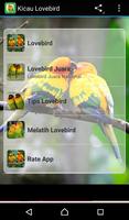 پوستر Chirping Bird Master Lovebird