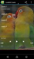 Kicau Mania Lovebird imagem de tela 2