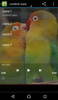 Kicau Mania Lovebird captura de pantalla 2