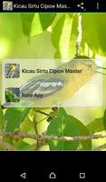 Kicau Sirtu Cipow Master Poster