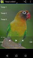 Lovebird Bird Therapy Master capture d'écran 1