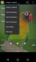 Terapi Burung Lovebird Master captura de pantalla 2