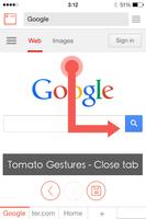 Tomato Browser Plakat