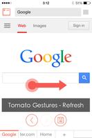 Tomato Browser capture d'écran 2