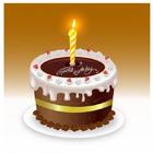Birthday Party icon