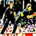 T20 Cricket Fever 2015