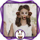 Snap Monkey Face Photo Editor icon