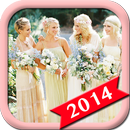 Bridesmaid Dresses-APK